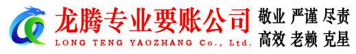 湖北龙腾追债公司